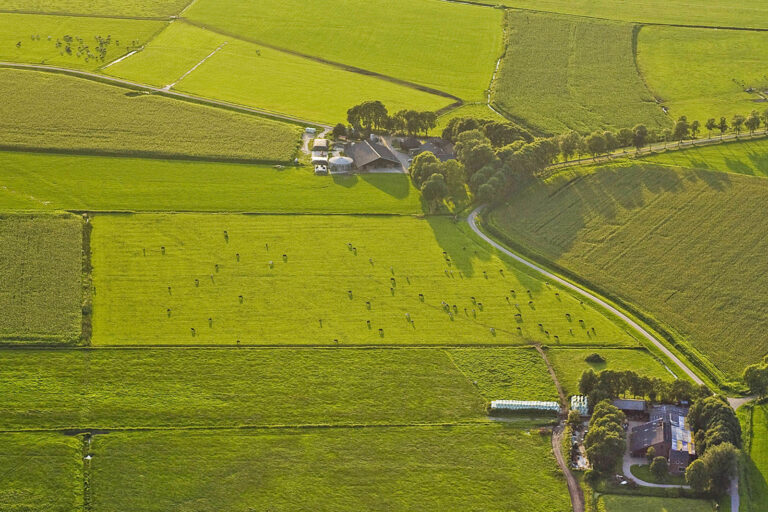 Buy-out statt Burn-out?