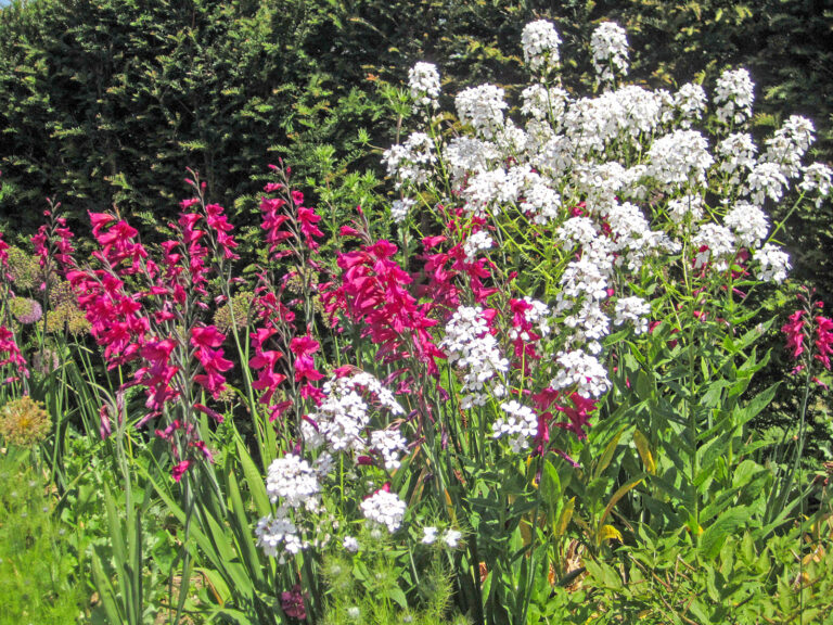 Natürlich schöne Überraschungen