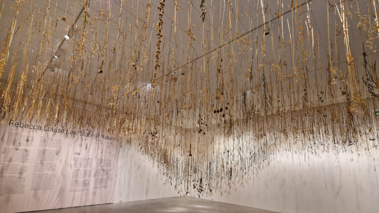 Wachstum, Wandel und Vergänglichkeit