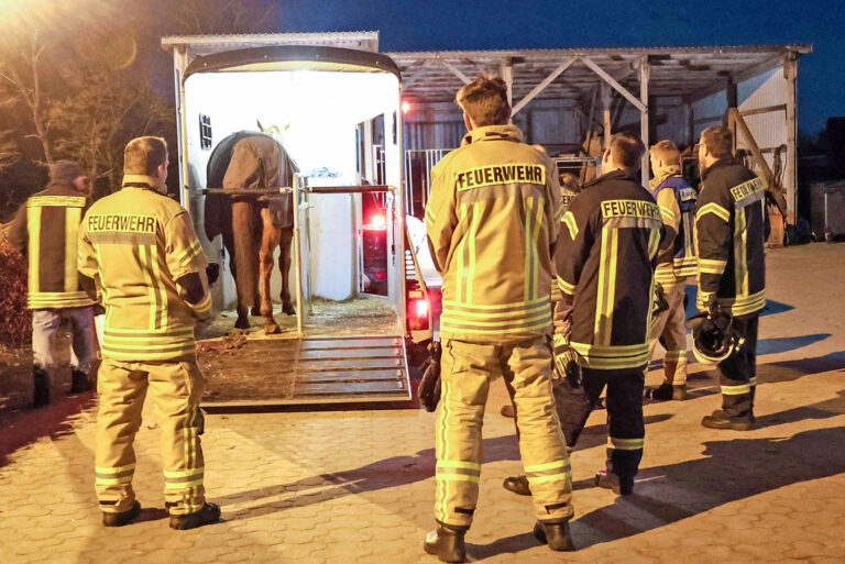 Freiwillige Feuerwehr Ladelund übt Tierrettung