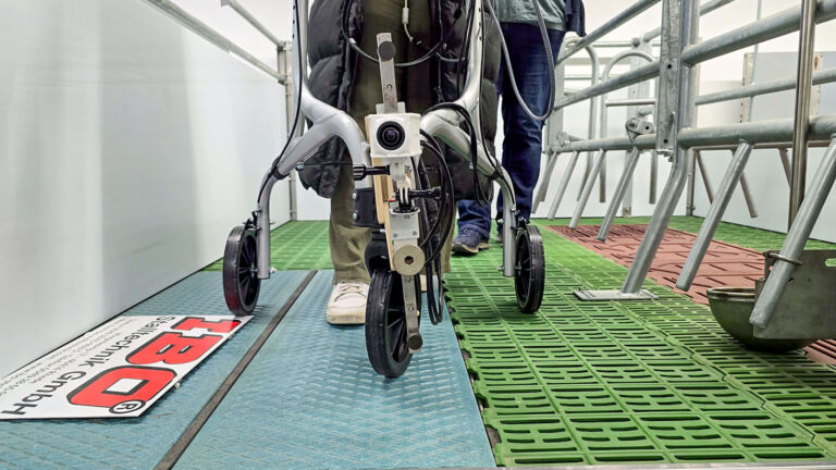 Mehr Verständnis für das Tier