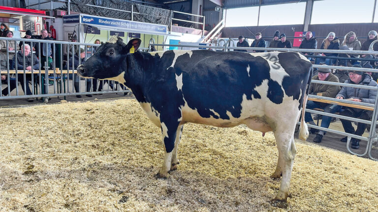 Stabile Nachfrage und differenzierte Zuschläge