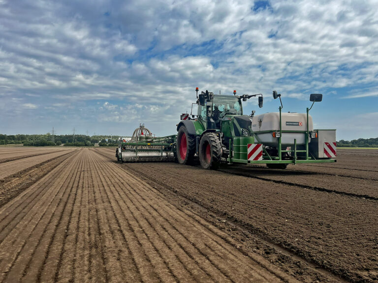 Ein zartes Blatt mit Anspruch