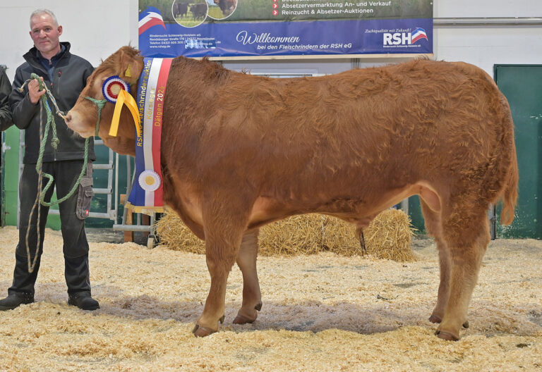 Neues Gesamtkonzept konnte überzeugen