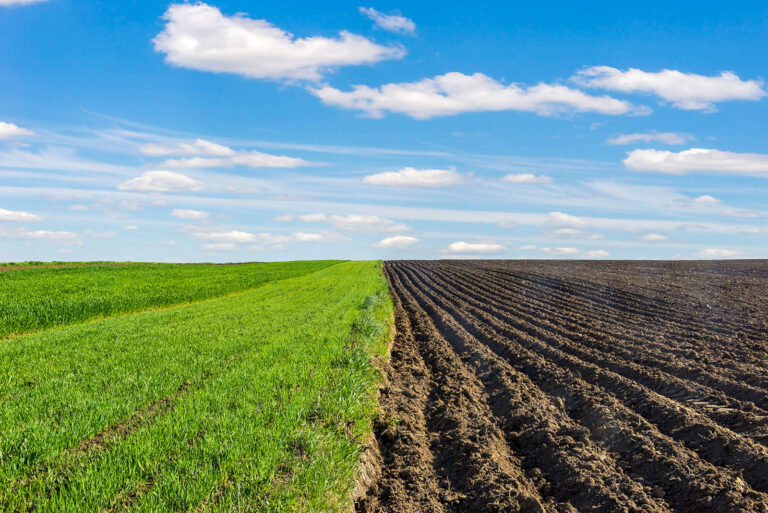 THG-Emissionen aus der Landwirtschaft nahezu unverändert