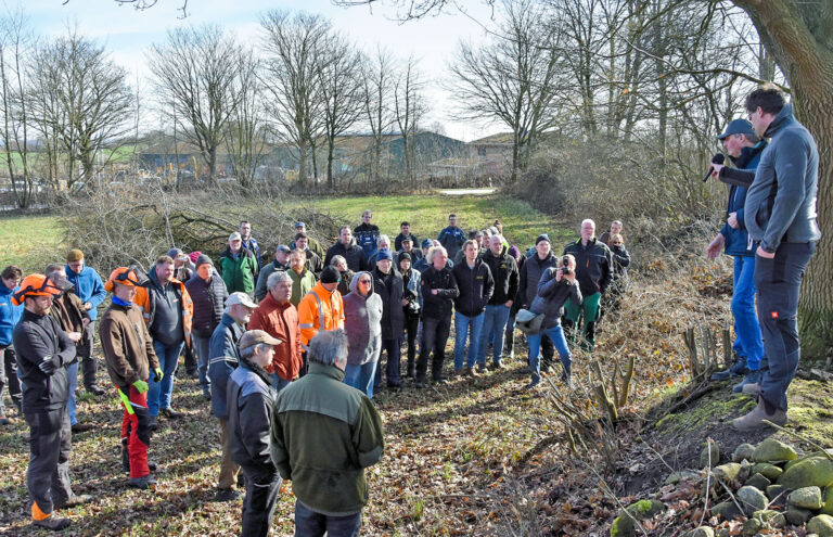 Technikvergleich zur Knickpflege