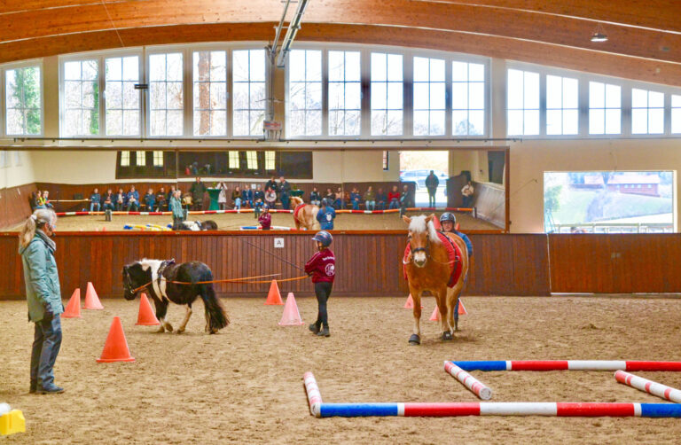 Vielseitig und mental stark im Pferdesport