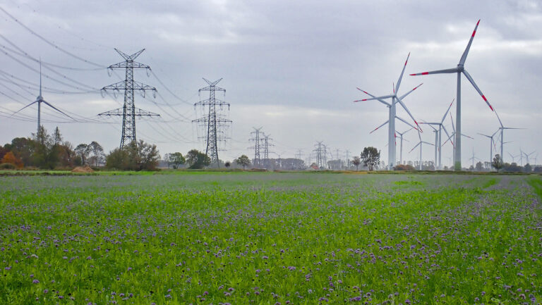 Aktuelle Erkenntnisse aus der Bodenkunde, Teil 1