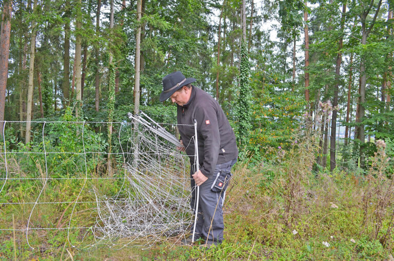 Ein Halsband als Litze