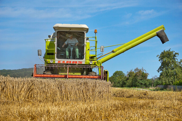 Ernteprognose 2026/2027 deutlich reduziert