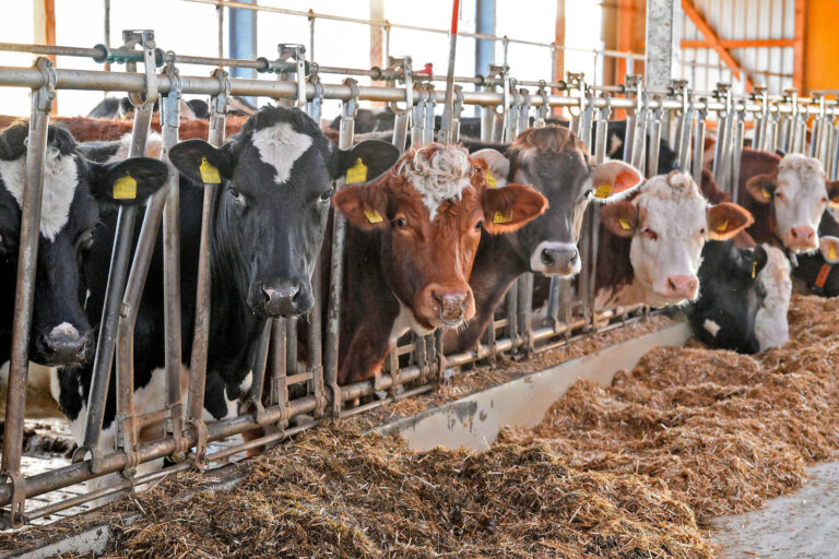 Klimaschutzprogramm nimmt Branche in die Pflicht