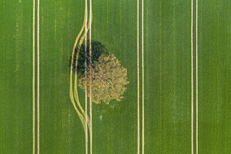 Klimaschutzprogramm: Kritik, aber auch Zustimmung
