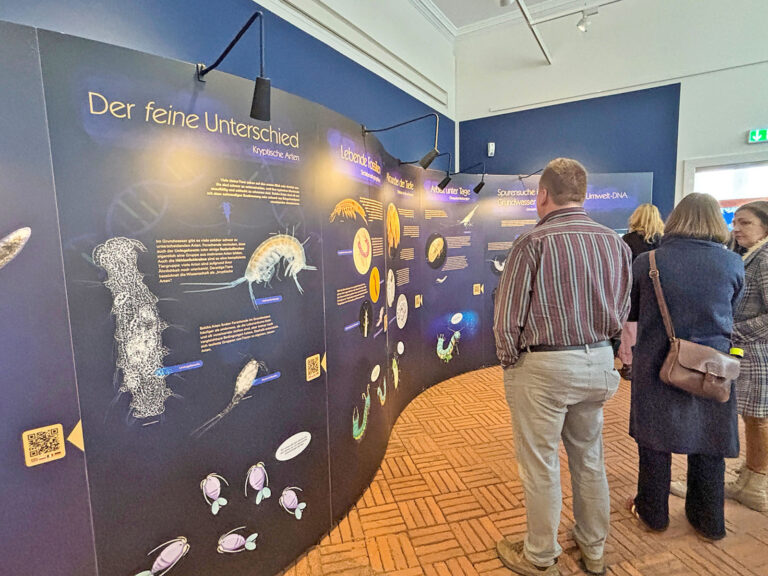 Verborgener Lebensraum unter der Erdoberfläche