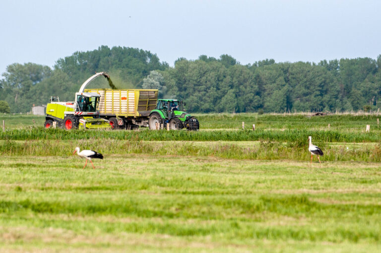 Für die Zukunft des Moores