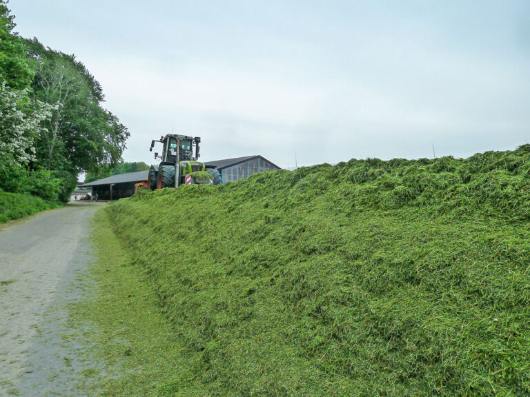 Der Ertrag als zentraler Parameter