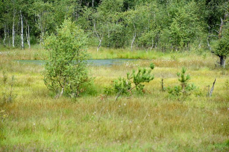 Warum Zahlen allein kein Moor vernässen