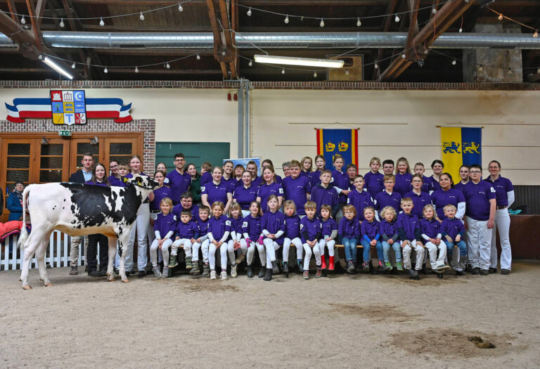 Angler Rinder spielen nach wie vor eine wichtige Rolle