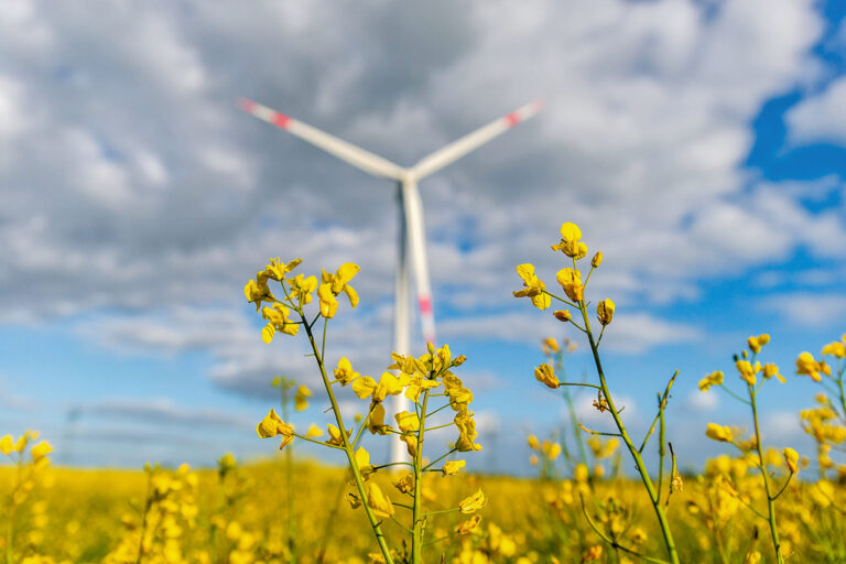 Raps-Rallye für Vorkontrakte nutzen?