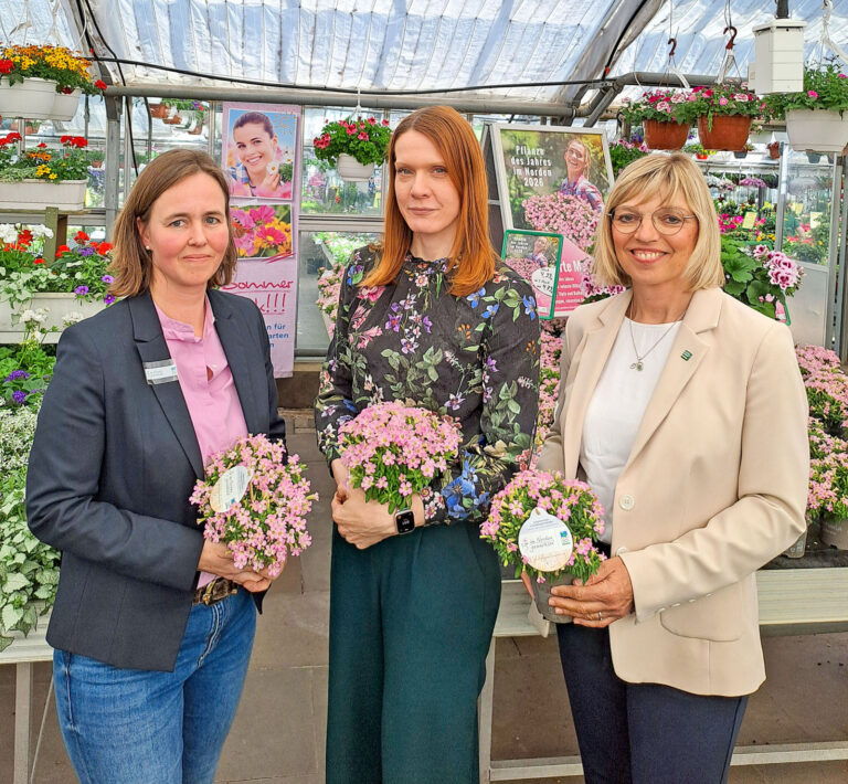 Start der Sommerblumensaison