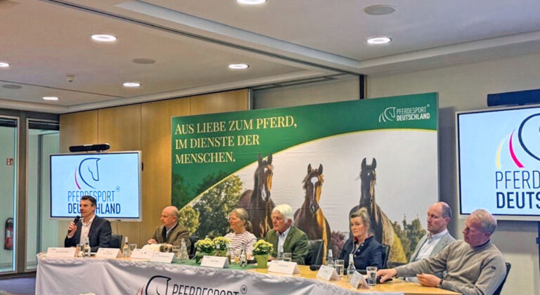 Der frühe Turniereinstieg im Fokus