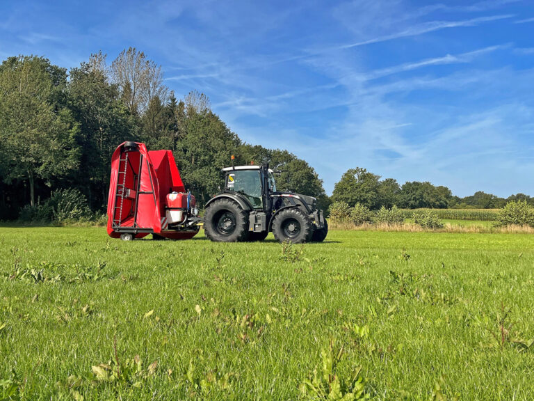 Ampferbekämpfung ist obligatorisch