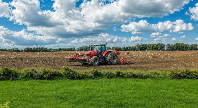 Herbstdüngung rechtssicher umsetzen