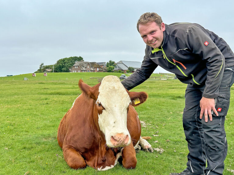 Die Landwirtschaft hält die Hallig zusammen