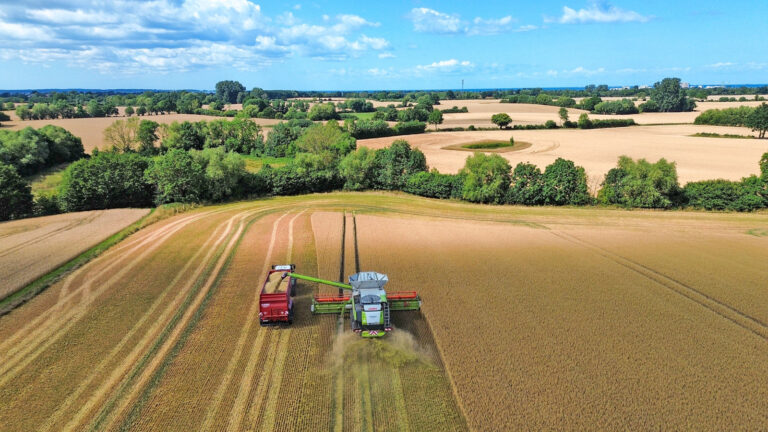Mäßige Ernteprognosen in Deutschland und Schleswig-Holstein, DBV fordert Entlastungen