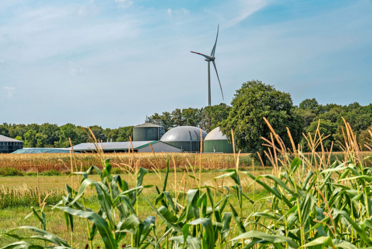Energiewende stärkt ländliche Räume