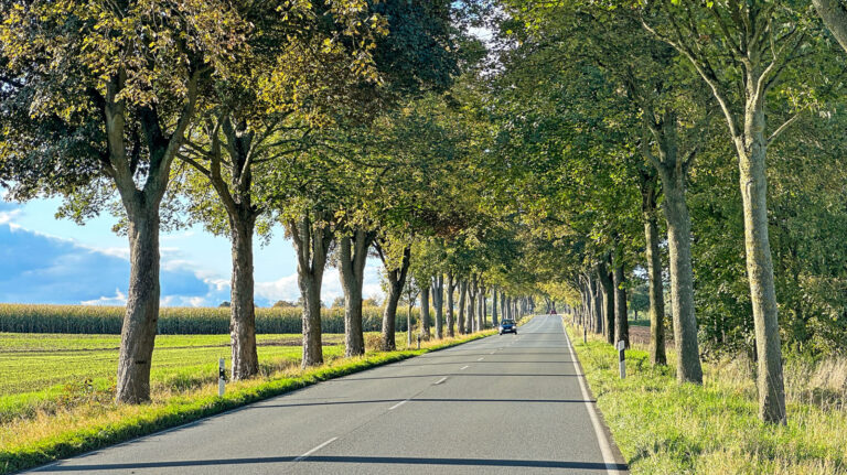 Was Jungbaumpflege der Landwirtschaft bringt